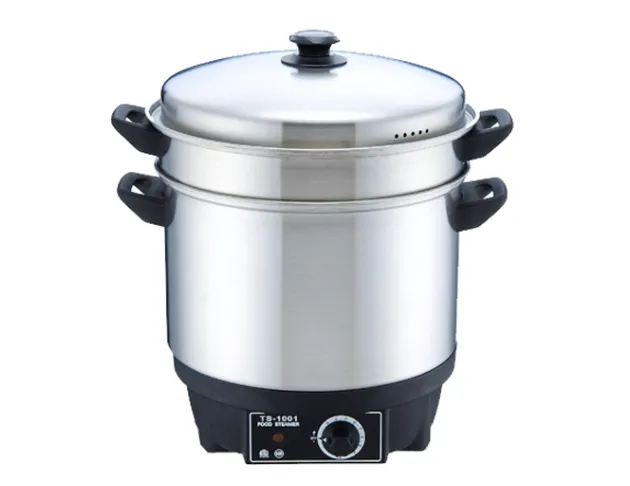  Electric Steamer TS-1001